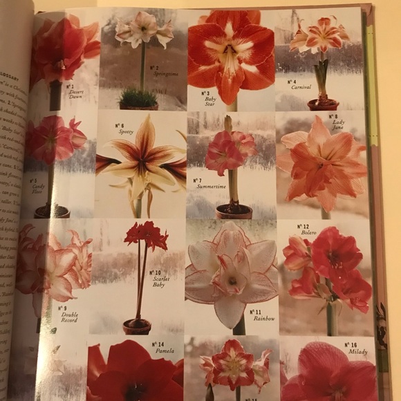 Christmas with Martha Stewart Living Classic Crafts and Recipes book - Picture 6 of 14